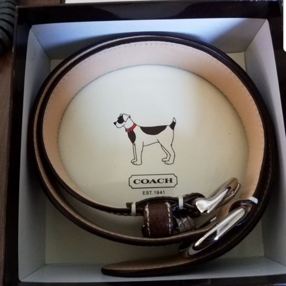 Coach Other - Dog Collar